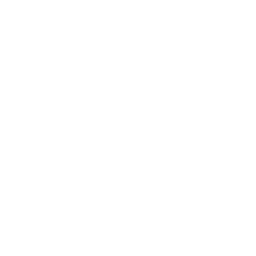 Family & Inheritance Law